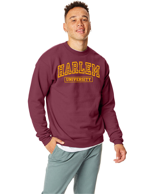 Harlem University T-Shirt